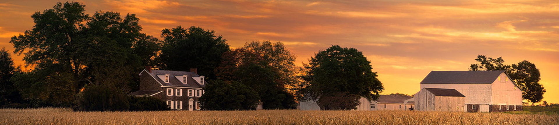 hero banner (Sheridan)_3